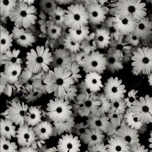 Meet your Posher, Malia